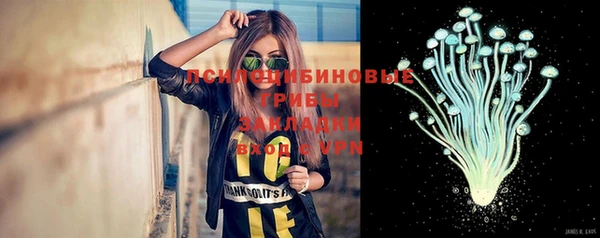 мет Пересвет