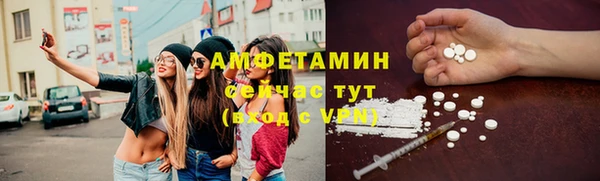 мет Пересвет