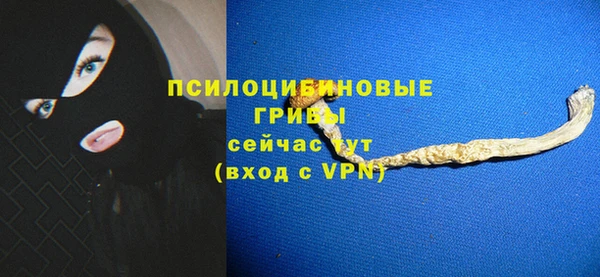мет Пересвет